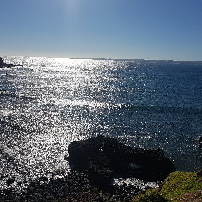 JulesM87399858's profile picture. 