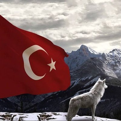 Ümitlerin bittiği yerde, Türk’ün Kudreti başlar 🇹🇷 ERGENEKON Yurdun adı,BÖRTEÇİNE kurdun adı 🐺