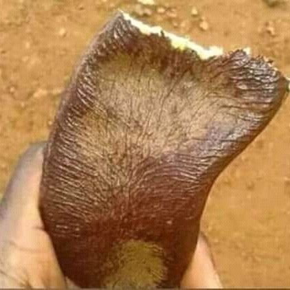 hungwe_jh's profile picture. 