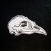 BirdmanCult (@rakkadimus) Twitter profile photo BirdmanCult (@rakkadimus) Twitter profile photo