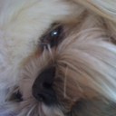 Debbie Evans - @Debi_Evans - Twitter