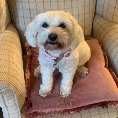 Alastair161258's profile picture. 