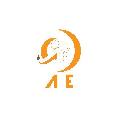 AFRICAINSURANC1's profile picture. World class online listing for insurance providers in Africa