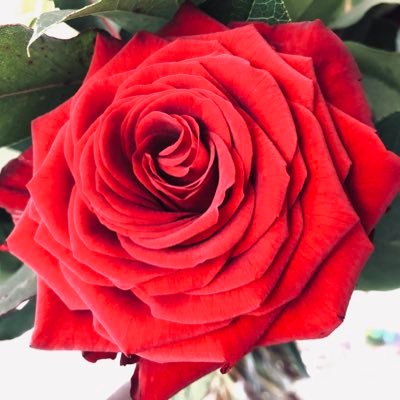 SkoekB's profile picture. 