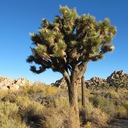 Eric Goode - @ericgoodenyc - Twitter