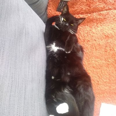 Dr. Gary Lowery Profile