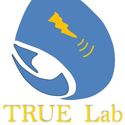 Theranostics with Radiation-induced Ultrasound Emission Lab: we are developing new imaging techniques!