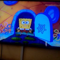 simbird (@simsleekx) 's Twitter Profile