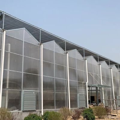 I am suns zhang from china greenhouse factory.
whatsapp :+8615244440114