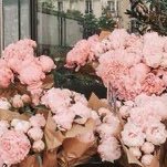 zMs22's profile picture. Read, taste, write & express Arabic/English literature ♥/ Cares for & Seeks Humanity peace...! profession: Interior Design