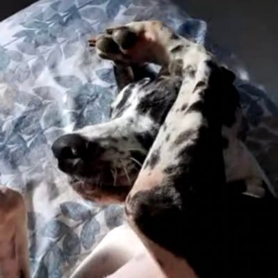 alexyyrock's profile picture. Soy único