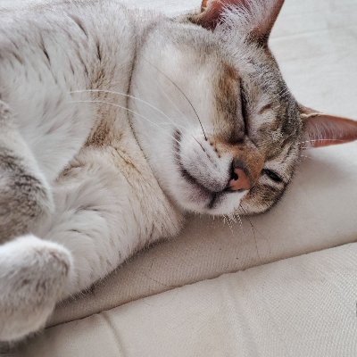 Ya2D45JU7i2xAY5's profile picture. 