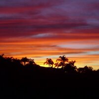 A Course in Miracles (@coursedaily) 's Twitter Profile