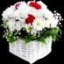 Khalidzia (@khalidz37064253) Twitter profile photo Khalidzia (@khalidz37064253) Twitter profile photo