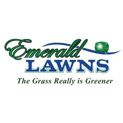 Follow us for real time reports from the field and lawn care tips in Central Texas.