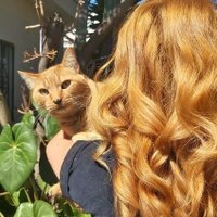 cat (@catherinemello) 's Twitter Profile