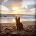 #amquerying a YA Contemporary Fantasy (@johnjacobjinke1) Twitter profile photo #amquerying a YA Contemporary Fantasy (@johnjacobjinke1) Twitter profile photo