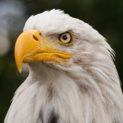 klbguy's profile picture. 