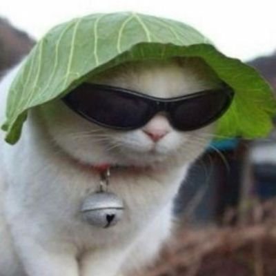 MiguePdr's profile picture. Play what's not there