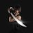 biaohan_space's profile image