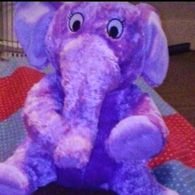 dagrungle's profile picture. western NC just here to kill time DM are open boredom lots of time