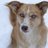 truepetfoods's profile image