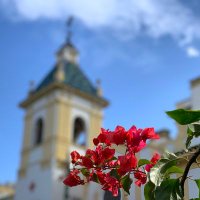 Hospital Cruz Roja de Córdoba (@hcrcordoba) 's Twitter Profile Photo Hospital Cruz Roja de Córdoba (@hcrcordoba) 's Twitter Profile Photo