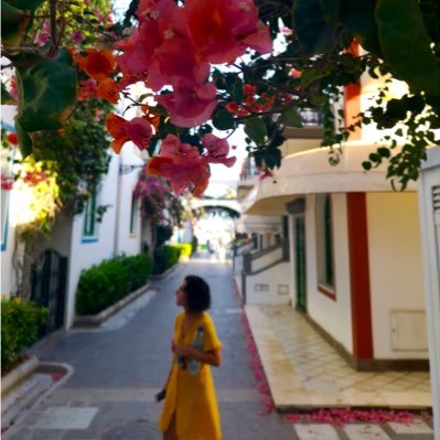 gaiaebianchi's profile picture. she/her