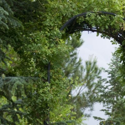 bashayr883's profile picture. 