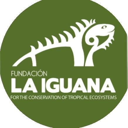 Conservando los bosques y flora nativa del Ecuador desde el 2011. 🌱 IG @fundacionlaiguana #SembrandoUnaCiudad 🌱#TuEscuelaenelVivero 🌱#PaisajismoNativo