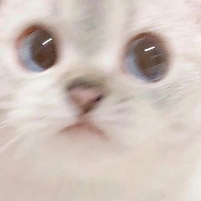 🪷Biaさんのプロフィール画像