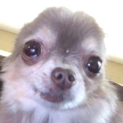 thribliaon's profile picture. NONIO ON