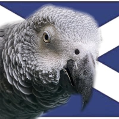 Parrots are funny. I follow back pro-EU accounts. @TheSNP member. Likes whisky, #ScottishIndependence, History, Politics, and asking questions in general.