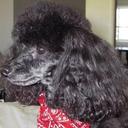 Deborah Cave - @sammyshmoo - Twitter