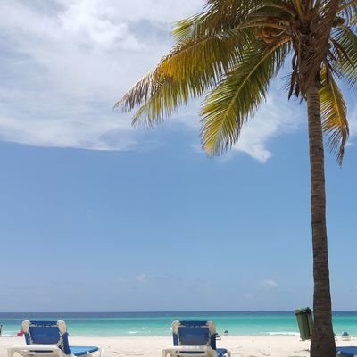 jcnet13's profile picture. 