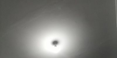 MestaLeSage's profile picture. 