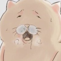 納戸(冨樫義博リポストbot) (@nayanokagi) 's Twitter Profile