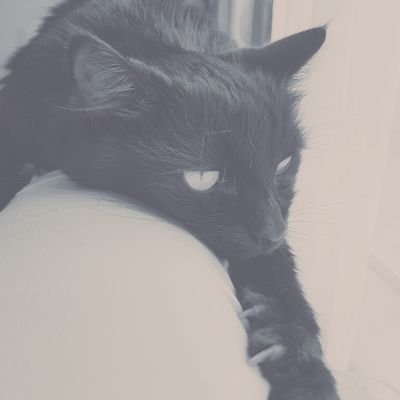 rubyphoenix25's profile picture. Aspiring writer and animal lover