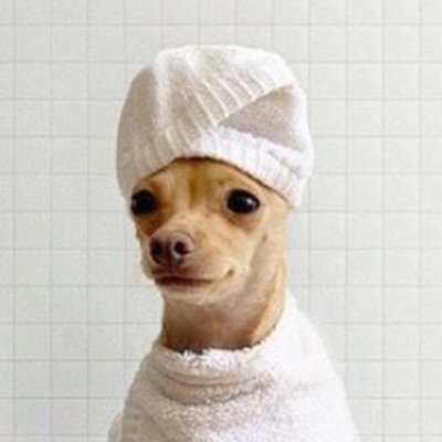 abyrne729's profile picture. aspiring backup singer