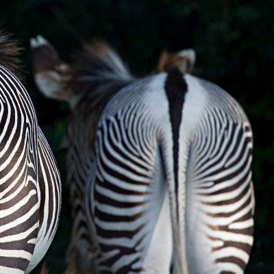 FKNawesome's profile picture. im fukn awesome...