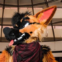 Rusty (@rustydawggo) 's Twitter Profile