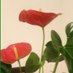Cemilefendicmge. 🇹🇷 (@cemoefendi) Twitter profile photo Cemilefendicmge. 🇹🇷 (@cemoefendi) Twitter profile photo