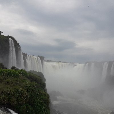 GiarroccoRaul's profile picture. 