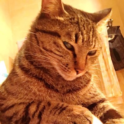 Linann29712537's profile picture. 