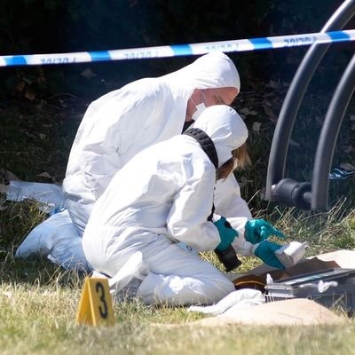 Crime Scene Manager. Crime Scene Investigator. Criminology graduate.