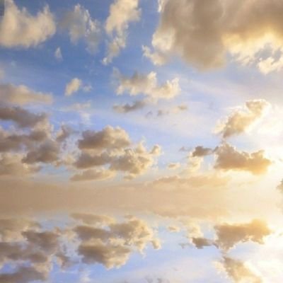 Fabiana46053035's profile picture. I'm bored I'm just here for the drama