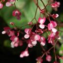 Anna - @AnnaMaeLam - Twitter