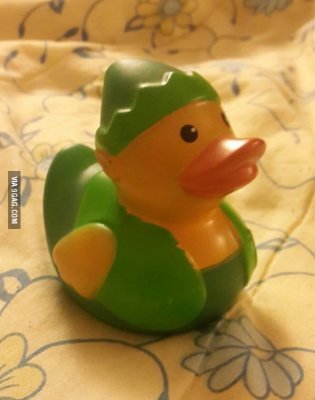 Sir Quack-a-lot