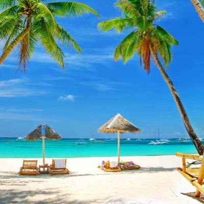 aqualiagh14's profile picture. No dejes que tus miedos ocupen el lugar de tus sueños