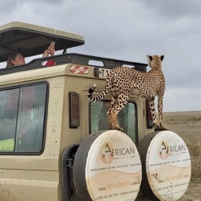 African Traits ltd is a local licensed Tour operator based in Arusha, Tanzania. With years of experience, African Traits truly provides quality Tour services.